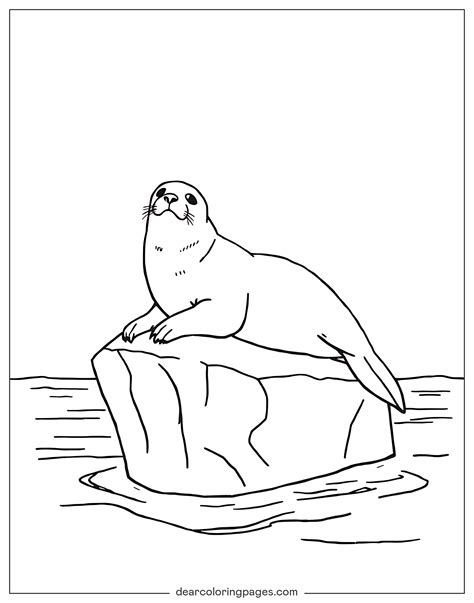 Seal Coloring Pages - 12 Free Printable Coloring Pages