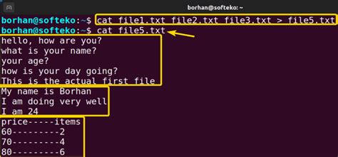 Image result for How to Use Cat Command in Linux