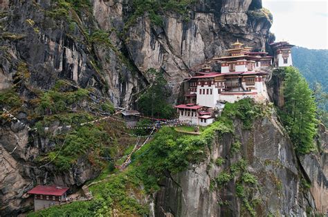 Image result for Bhutan Python Coders