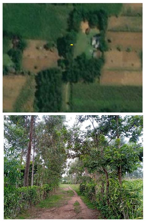Mapping Rural Mobility in the Global South: A Participatory GIS ...