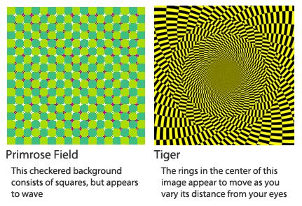 Image result for Image Gradient Calculation in Computer Vision