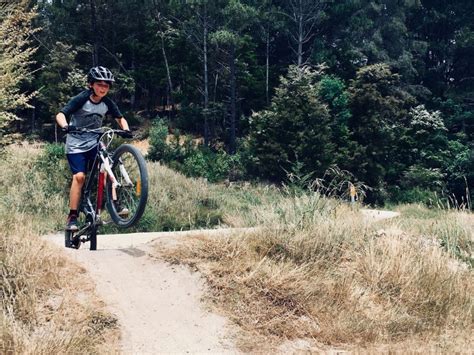 Cycling Children 的图像结果