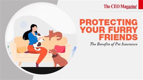 Understanding Property and Casualty Insurance: Coverage, Types, and ...