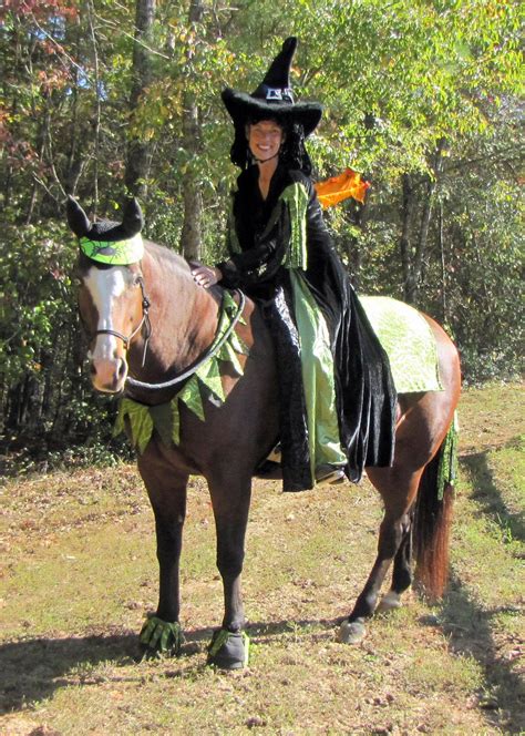 Unleash the Magic: Discover Captivating Horse Costume Ideas