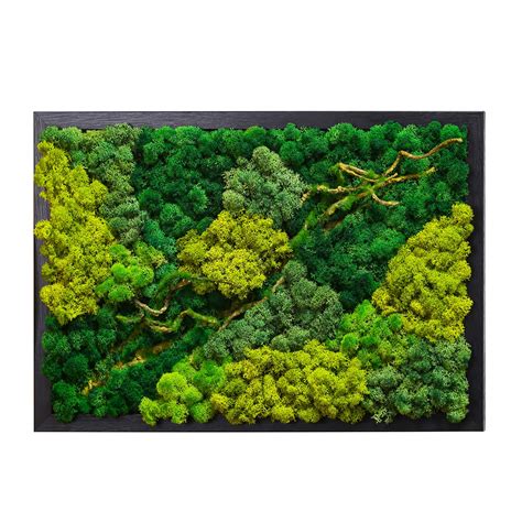 LVZHIHUAN Moss Wall decor Real Preserved Moss No Maintenance Required ...