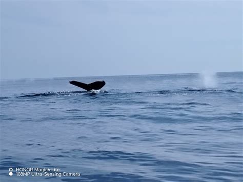 THE BEST Places to Visit in Canoas (2025) - Must-See Attractions