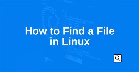 How to Find a File in Linux 的图像结果