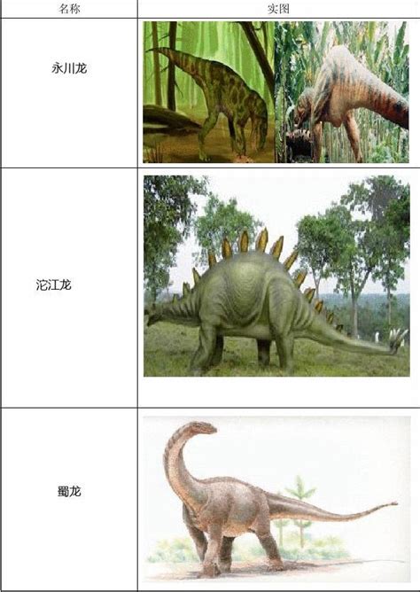 各种恐龙的名字和介绍（所有恐龙的图片大全及名字）-玩个性