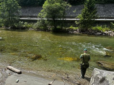 Georgie maria tits i have met Rita once before in May prior