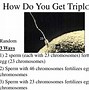Image result for Triploid