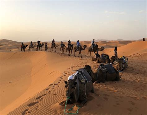 MOROCCO TERRIFIC TRIPS - All You Need to Know BEFORE You Go (with ...