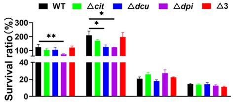Characterization of Two-Component System CitB Family in Salmonella Pullorum