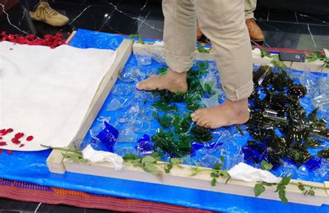 TransCat - Catalyst for Metamorphosis