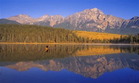 Natural World 的图像结果