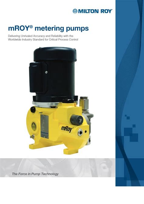 Water Treatment Plant - Milton Roy Dosing Pump Service Provider from Panvel