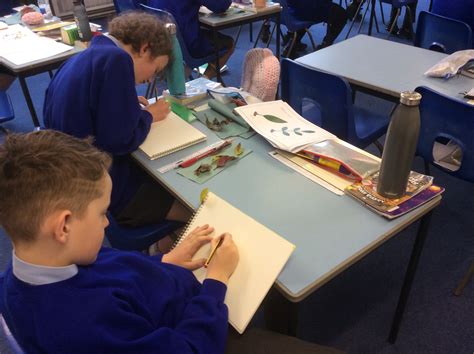 Classification Science P6 的图像结果