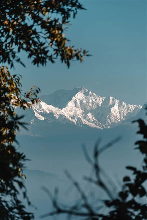 5 things you must do at Darjeeling | by Buddy | Medium
