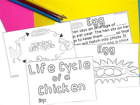 Image result for Python Life Cycle for Kids