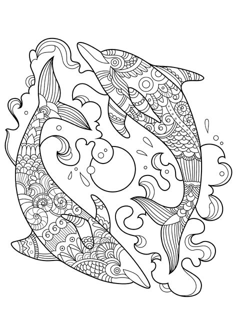 Collection of Printable Dolphin Coloring Pages - Free Printable