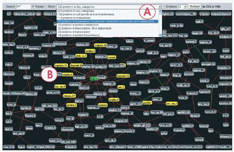 Image result for How to Graph at Java Applet