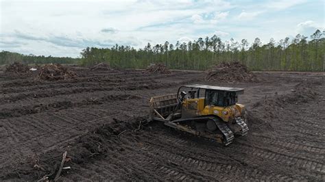 A Step-by-Step Guide to Proper Land Clearing