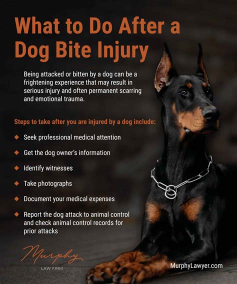Dog Bites: Ligaments and Muscle Damage - Murphy Law