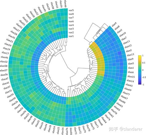 MATLAB | 绘图复刻(五) | 带树状图的环形热图 - 知乎