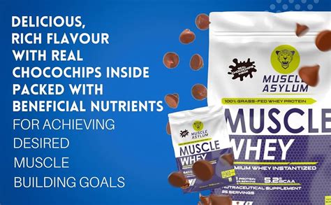 Muscle Asylum Premium Whey Protein (With Real Chocochips Inside) 1kg l ...