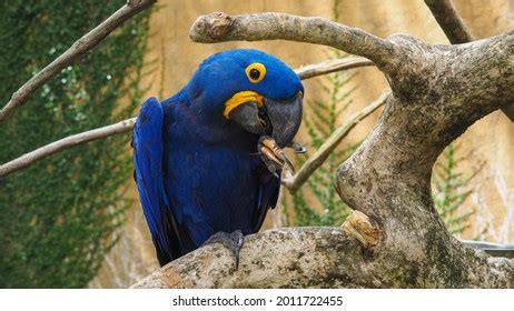 Image result for Logging Software