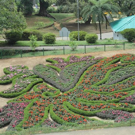 HAKGALA BOTANIC GARDENS (2025) All You Need to Know BEFORE You Go (with ...