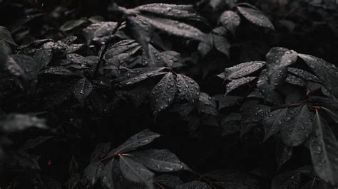 ¿Qué pecados descalifican a un pastor de por vida? | Pasión por el ...