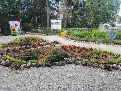 22 Best & Fun Things to Do in Apollo Beach – Touristchief