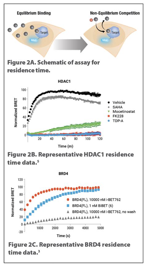 Image result for How to Program Cell Chip