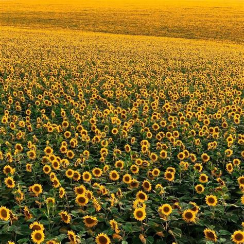 Jay Wheeler | GRACIAS Miami 📍🤍 QUE BONITO LA PASAMOS Next: Atlanta 📍octubre/24 Los Ángeles 📍 ...