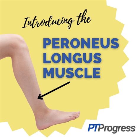 Peroneal Muscle Tear