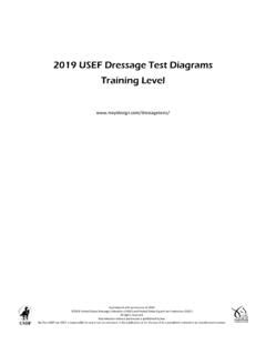 Image result for USDF 1st Level Test 3