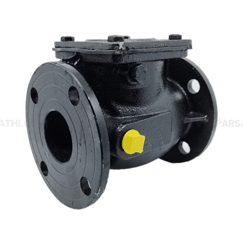 CI Flange-Type NRV with Hole | CI Pipes & Fittings - Vyaparsathi
