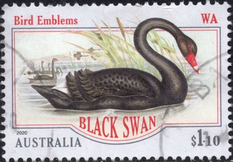 State Bird Emblems – Stamps of Australia 2020. – Stamp Digest