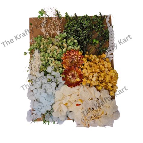 Dry Flower Packet | In Stock, Best Price, Fast Delivery
