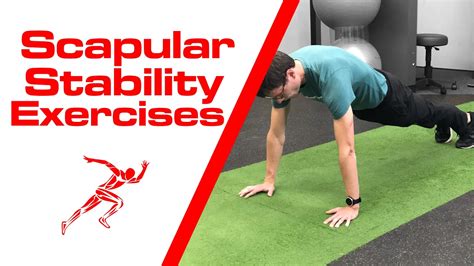 Image result for Scapular Dysfunction Exercises