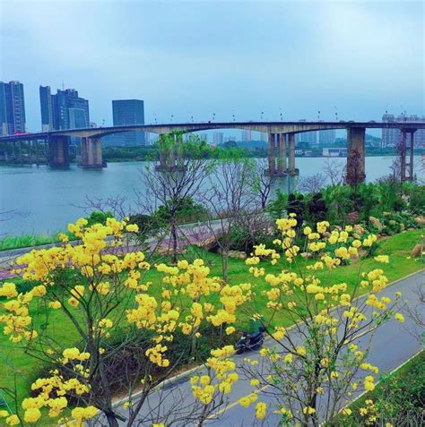新行程——江门市-蓬江区-东湖公园