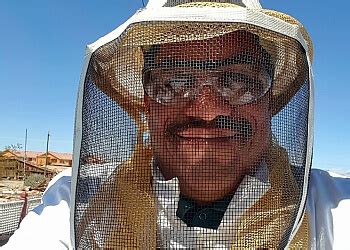 Pest Control Lancaster 的图像结果