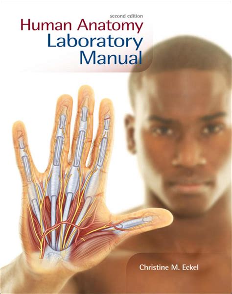 Buy Human Anatomy Lab Manual Book Online at Low Prices in India | Human ...