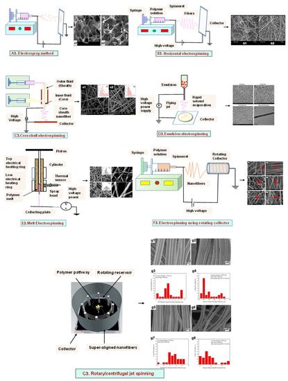 Bioengineering | Special Issue : Current Developments and Applications ...