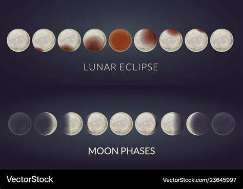 Lunar eclipse phases and moon phases Royalty Free Vector