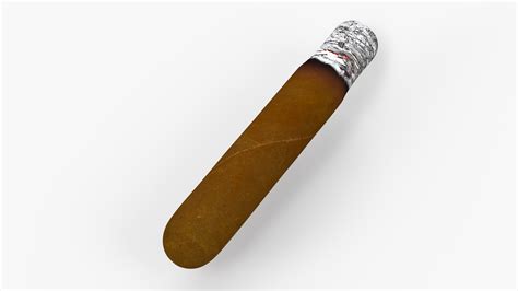 3D model Cuban Cigar Short Smoking | 3D Molier International