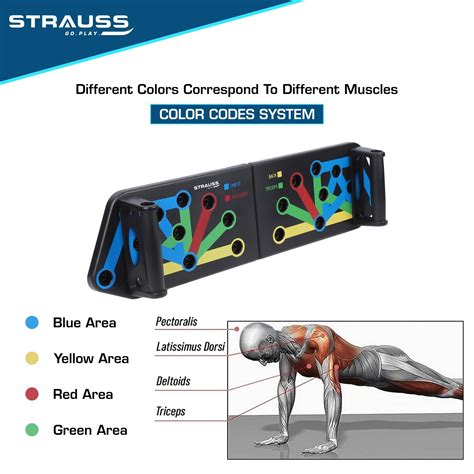Buy Multifunctional Portable Push Up Board: All-in-One Tool – StraussSport