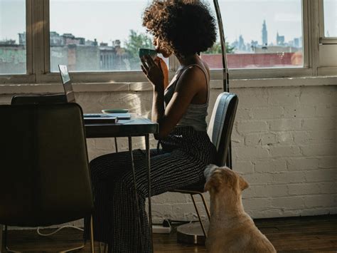 Image result for Sort Code Checker