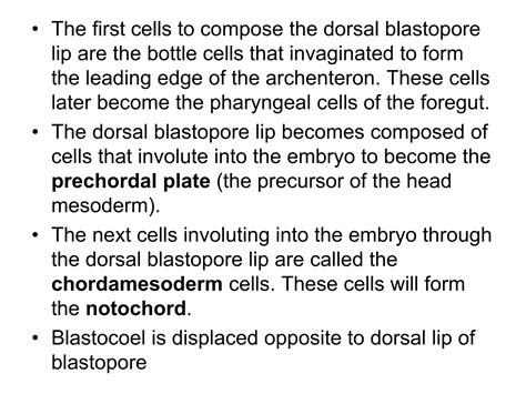 Gastrulation in frog | PPT