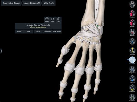 Wrist Injuries in Golf — The Physio Lab